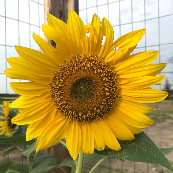 Meet your Posher, Rebeca - Picture 1 of 1